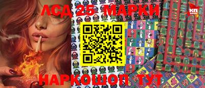 гидра Будённовск