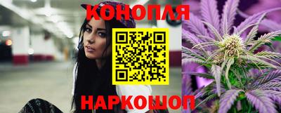 гидра Будённовск