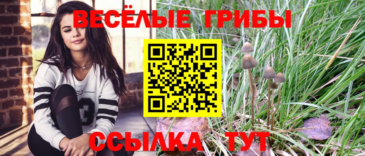 Троицк  Галлюциногенные грибы прущие грибы  Вход с VPN 