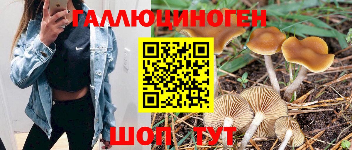 Псилоцибиновые грибы GOLDEN TEACHER Троицк